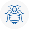 Bed Bug Extermination In Cumbria